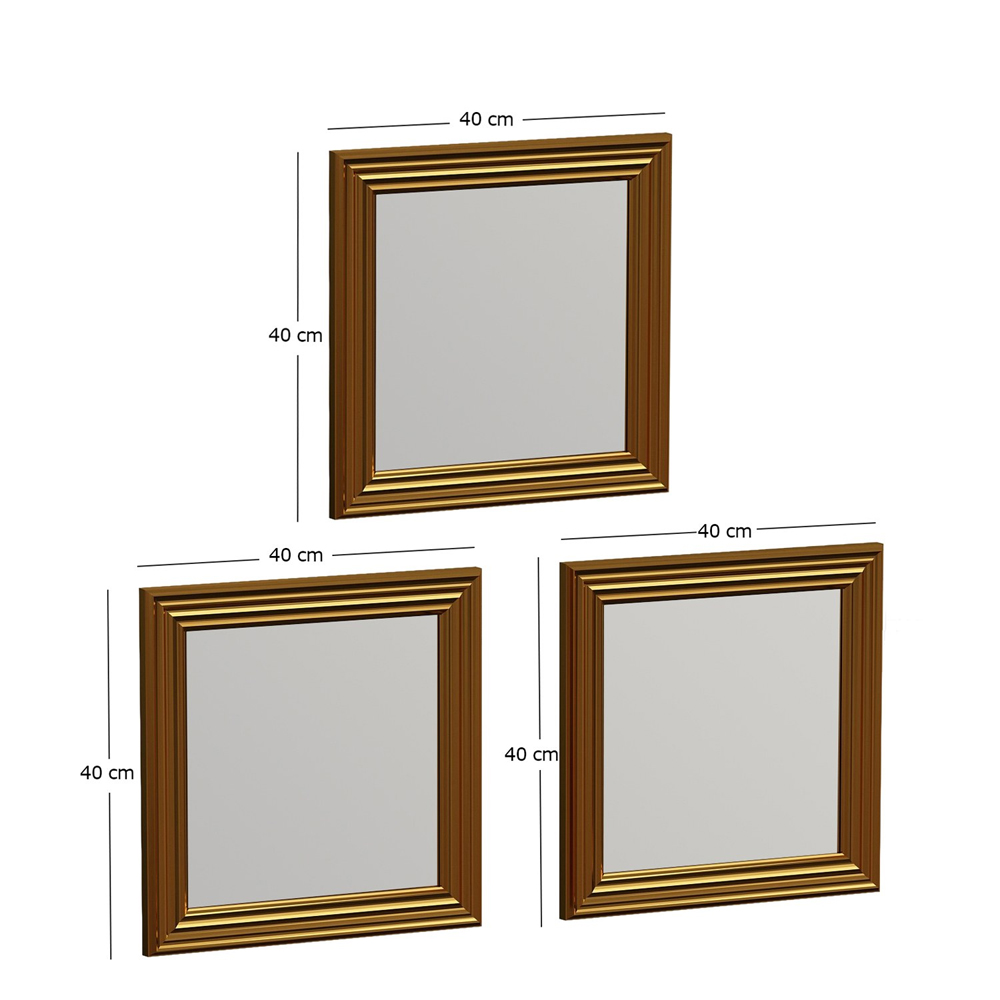 Otto Glass Set of 3 Wall Mirror with Gold Wooden Frame