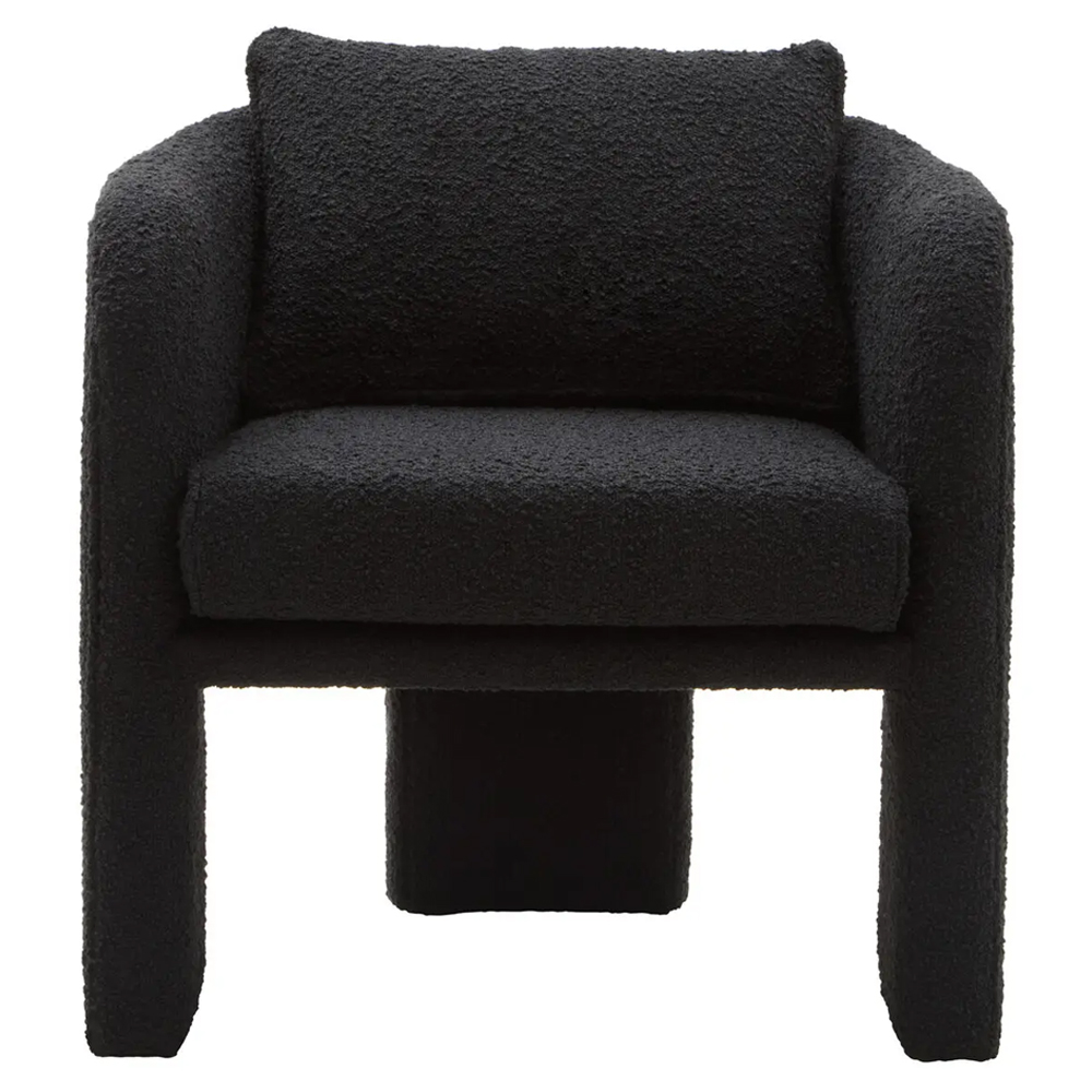 Ottumwa Fabric Accent Chair In Black