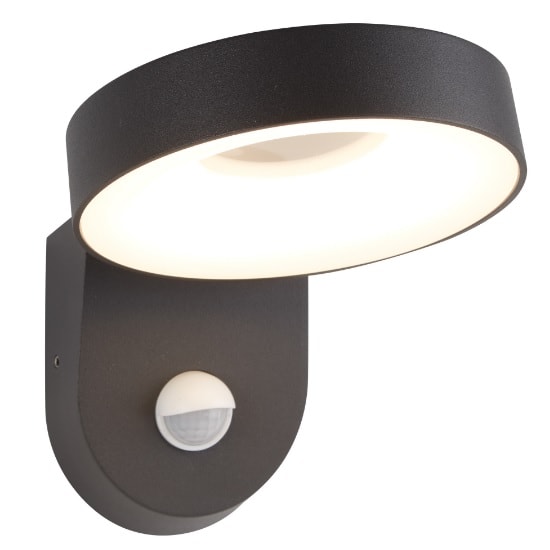 San Diego Outdoor LED Light Wall Bracket In Dark Grey Furniture in