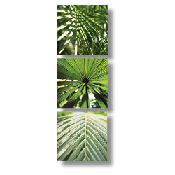 Read more about Tropical leaves wall art