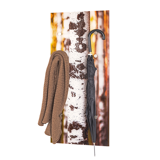 Palos Glass Wall Hung 6 Hooks Coat Rack In Birch Print