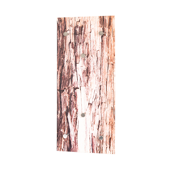 Palos Glass Wall Hung 6 Hooks Coat Rack In Tree Bark Print