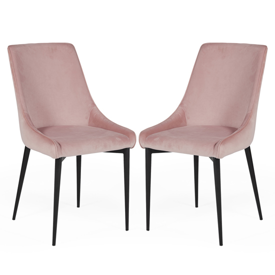 Payton Blush Velvet Dining Chairs With Metal Legs In Pair Furniture