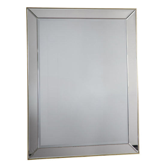 Read more about Petrich rectangular wall mirror in gold frame