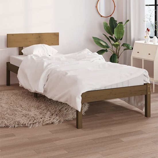 Phyre Solid Pinewood Single Bed In Honey Brown_1