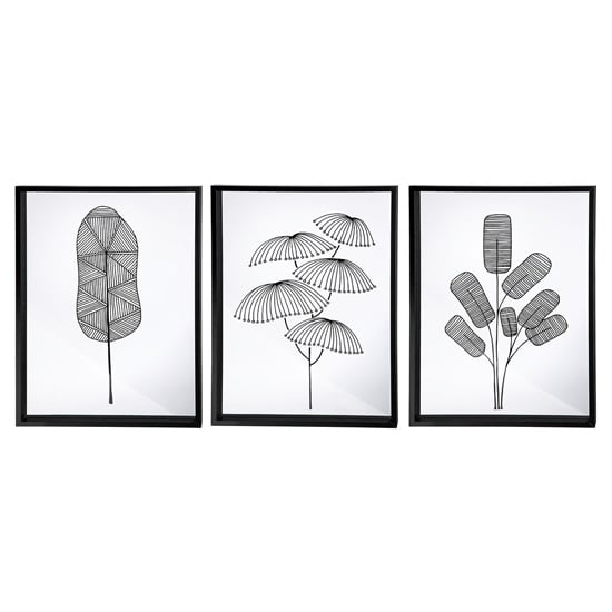 Plants Picture Set Of 3 Glass Wall Art In Black And White | Furniture ...