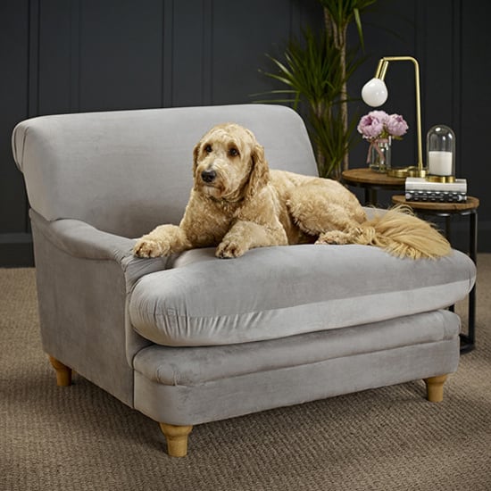 Photo of Plimpton velvet lounge chair with wooden legs in grey