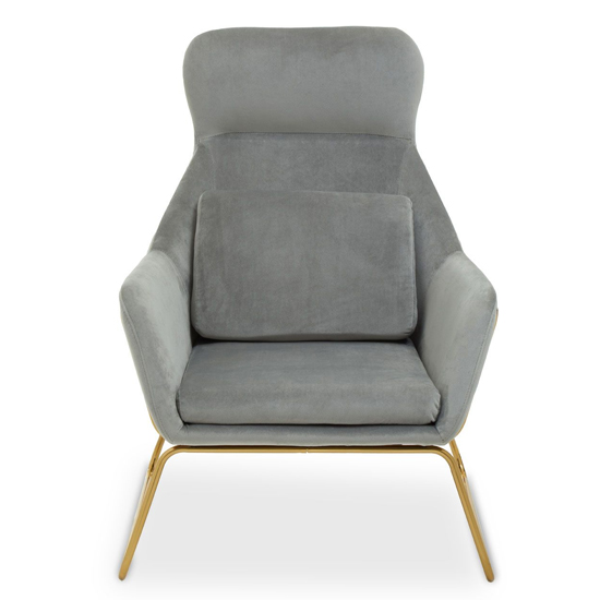 Porrima Velvet Armchair With Gold Metal Frame In Grey