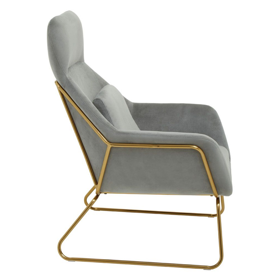 Porrima Velvet Armchair With Gold Metal Frame In Grey