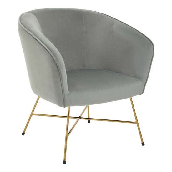 Porrima Velvet Upholstered Accent Chair In Grey