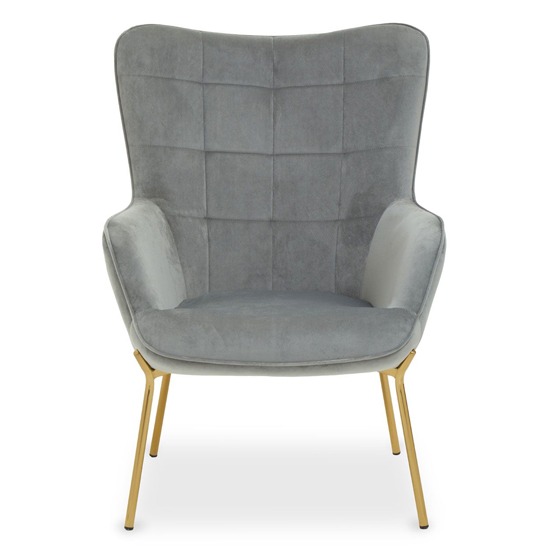 Porrima Velvet Upholstered Armchair In Grey