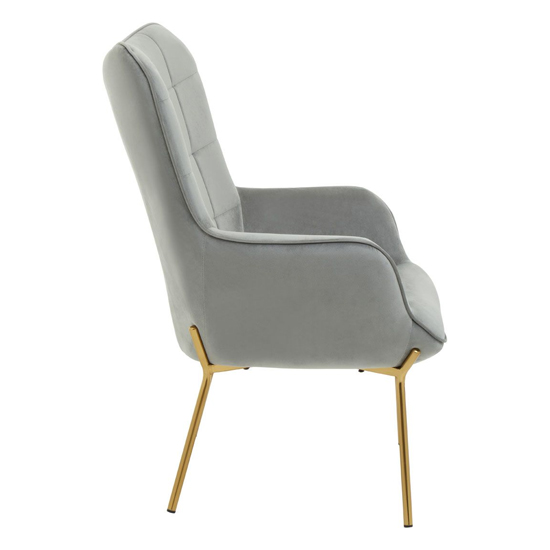 Porrima Velvet Upholstered Armchair In Grey