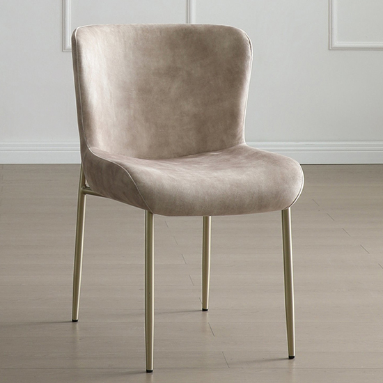 Read more about Primm fabric dining chair in champagne