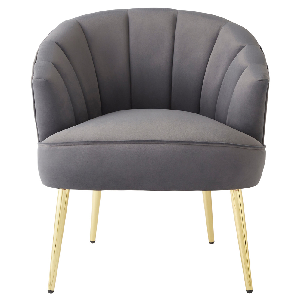 Pulford Velvet Accent Chair With Gold Legs In Grey