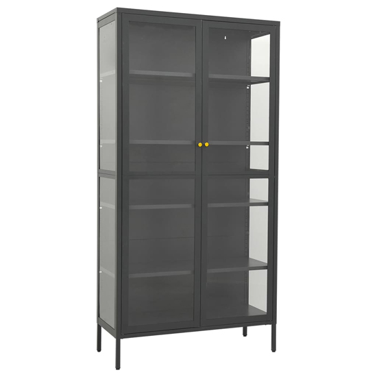 Rabia Steel Display Cabinet With 2 Glass Doors In Anthracite