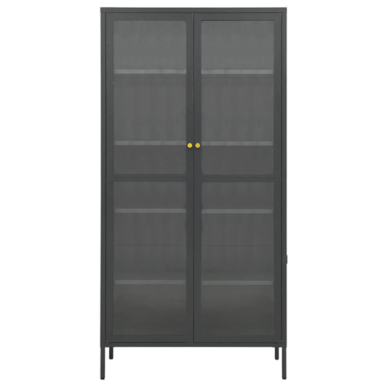 Rabia Steel Display Cabinet With 2 Glass Doors In Anthracite