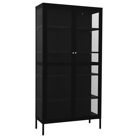 Rabia Steel Display Cabinet With 2 Glass Doors In Black