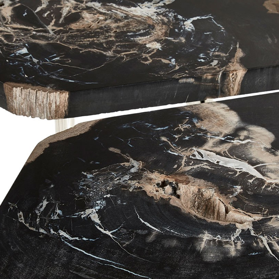 Relics Petrified Wooden Coffee Table In Black FiF