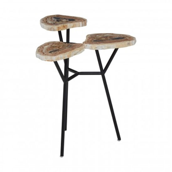 Relics Petrified Wood Top Side Table In Natural With Metal Legs_2