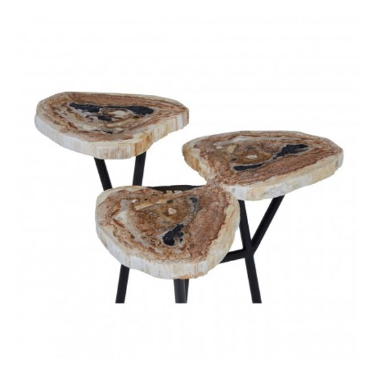 Relics Petrified Wood Top Side Table In Natural With Metal Legs_3