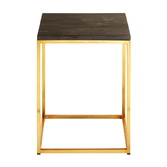 Relics Petrified Wooden Square Side Table With Gold Frame_2