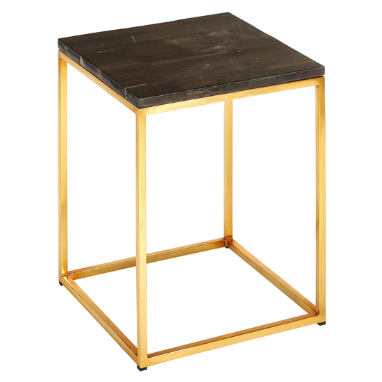 Relics Petrified Wooden Square Side Table With Gold Frame FiF