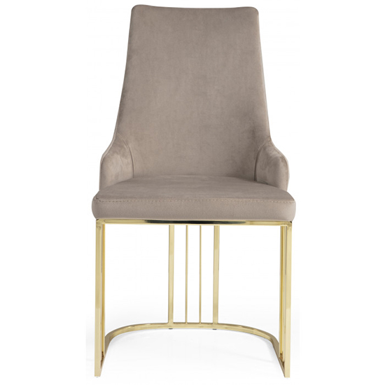 Reloa Beige Velvet Dining Chairs With Gold Frame In Pair FiF