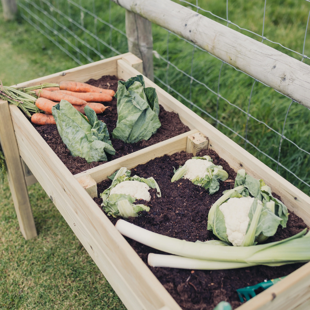 Rimouski Medium Wooden Garden Vegetable Planter In Natural