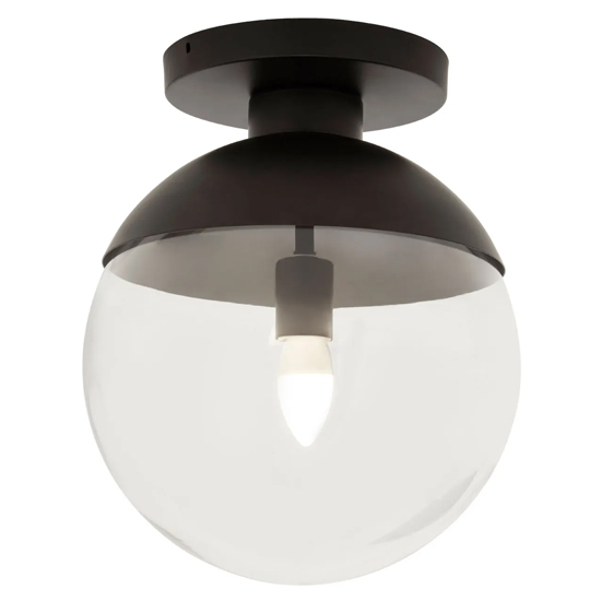 Rocklin Clear Glass Shade Ceiling Light In Black