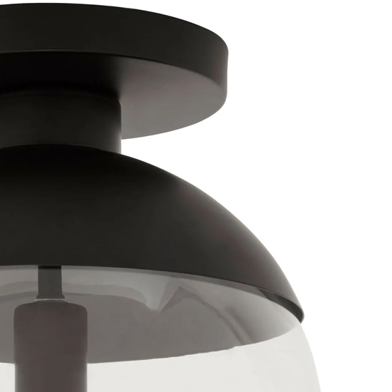 Rocklin Clear Glass Shade Ceiling Light In Black