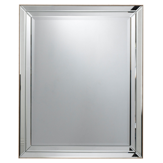 Read more about Russell large rectangular wall mirror in champagne frame