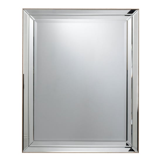 Russell Small Rectangular Wall Mirror In Champagne Frame