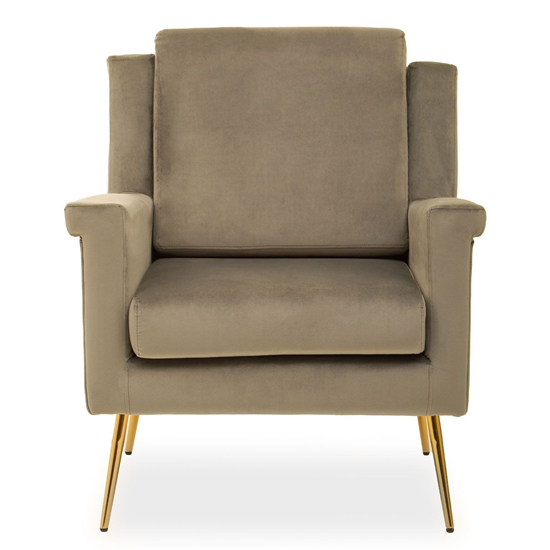 Read more about Salami velvet upholstered armchair in mink