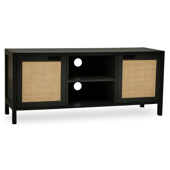 Salta Wooden TV Stand With 2 Doors In Black