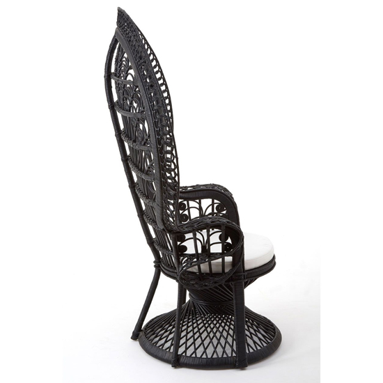 Sara Rattan Peacock Design Bedroom Chair In Black_4