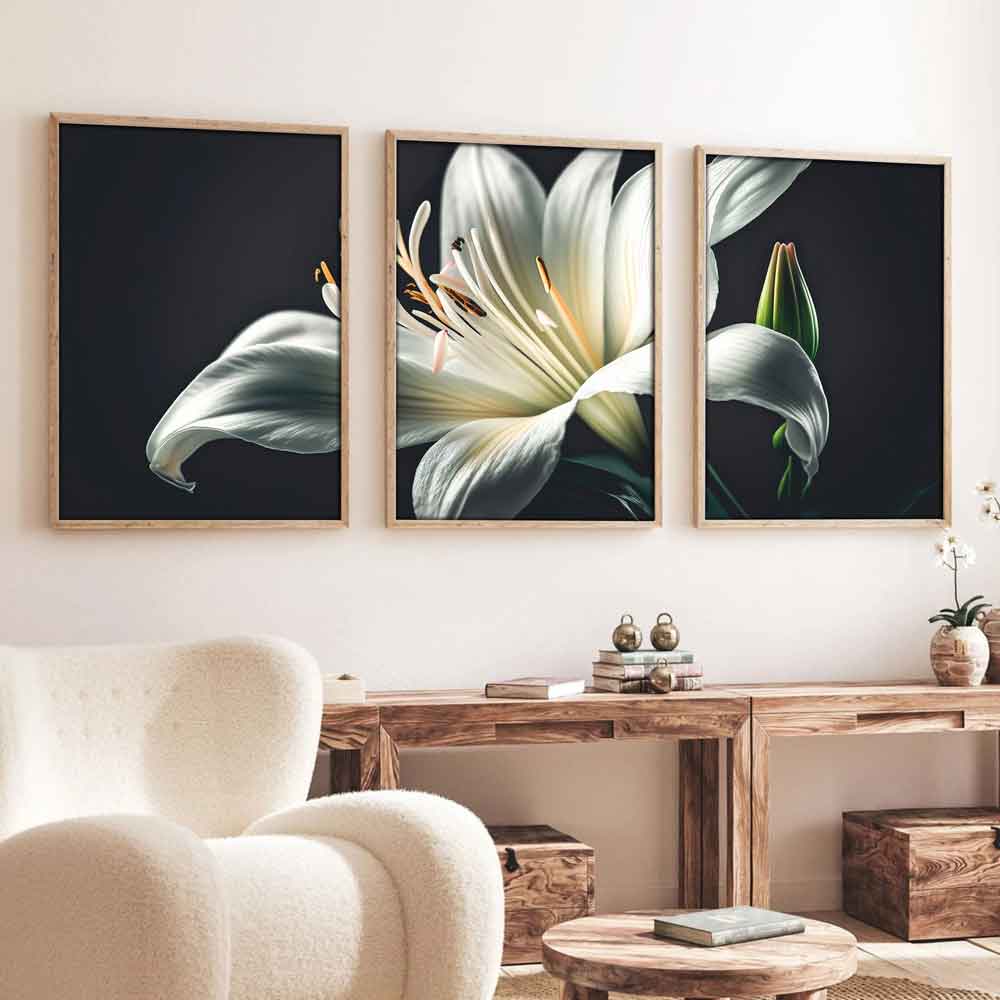 Satori Wooden 20x30cm Nocturnal Bloom Art of Frame Set of 3 in Multicolour