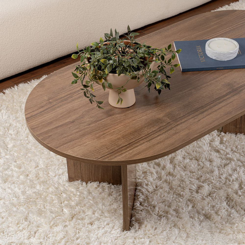 Savelio Oval Wooden Coffee Table in Walnut