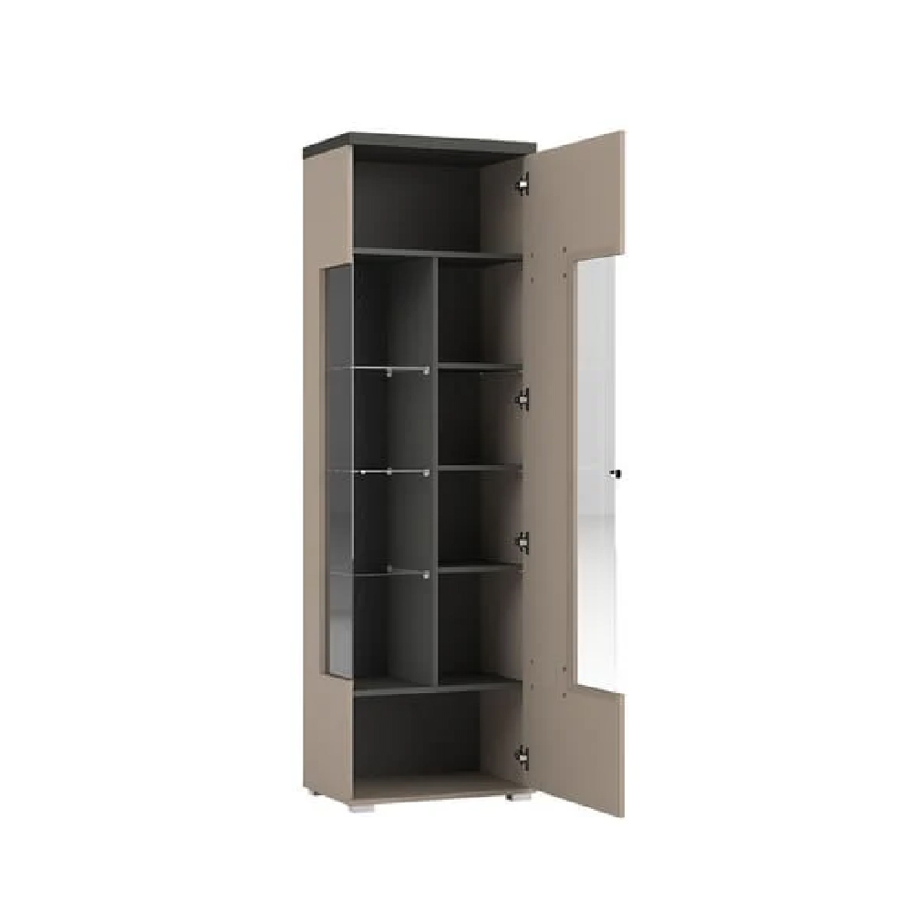Seguin Wooden Display Cabinet With 1 Door In Congo Anthracite