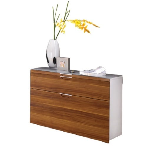 Shoe Storage Cabinets Apartment Size Furniture A Woman Can Love shoe cabinet 1850 25 - Shoe Storage Cabinets Apartment Size Furniture A Woman Can Love
