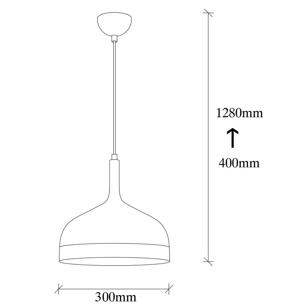 Sivani Dome Metal Ceiling Pendant Light in Black and Gold
