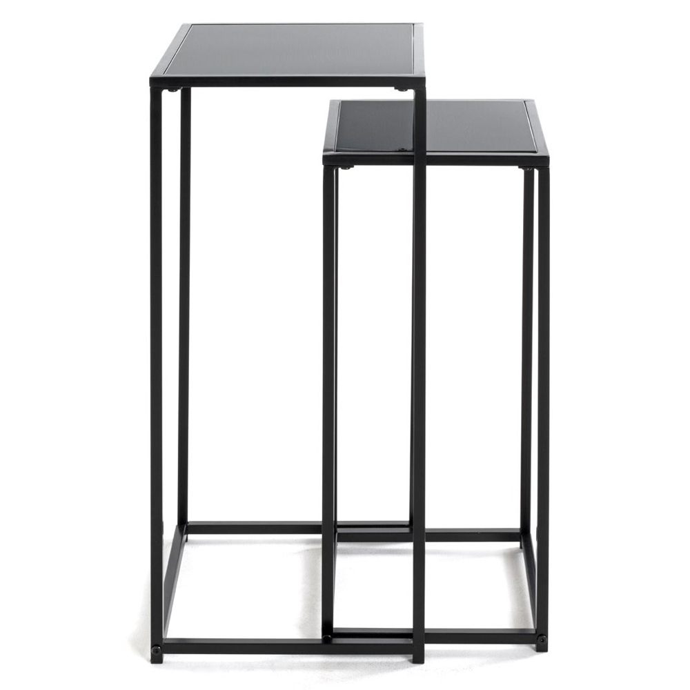 Sonora Black Glass Set Of 2 Planter With Steel Frame