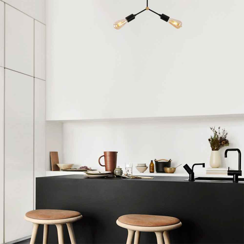 Sparrow 2 Light Metal Ceiling Light in Black