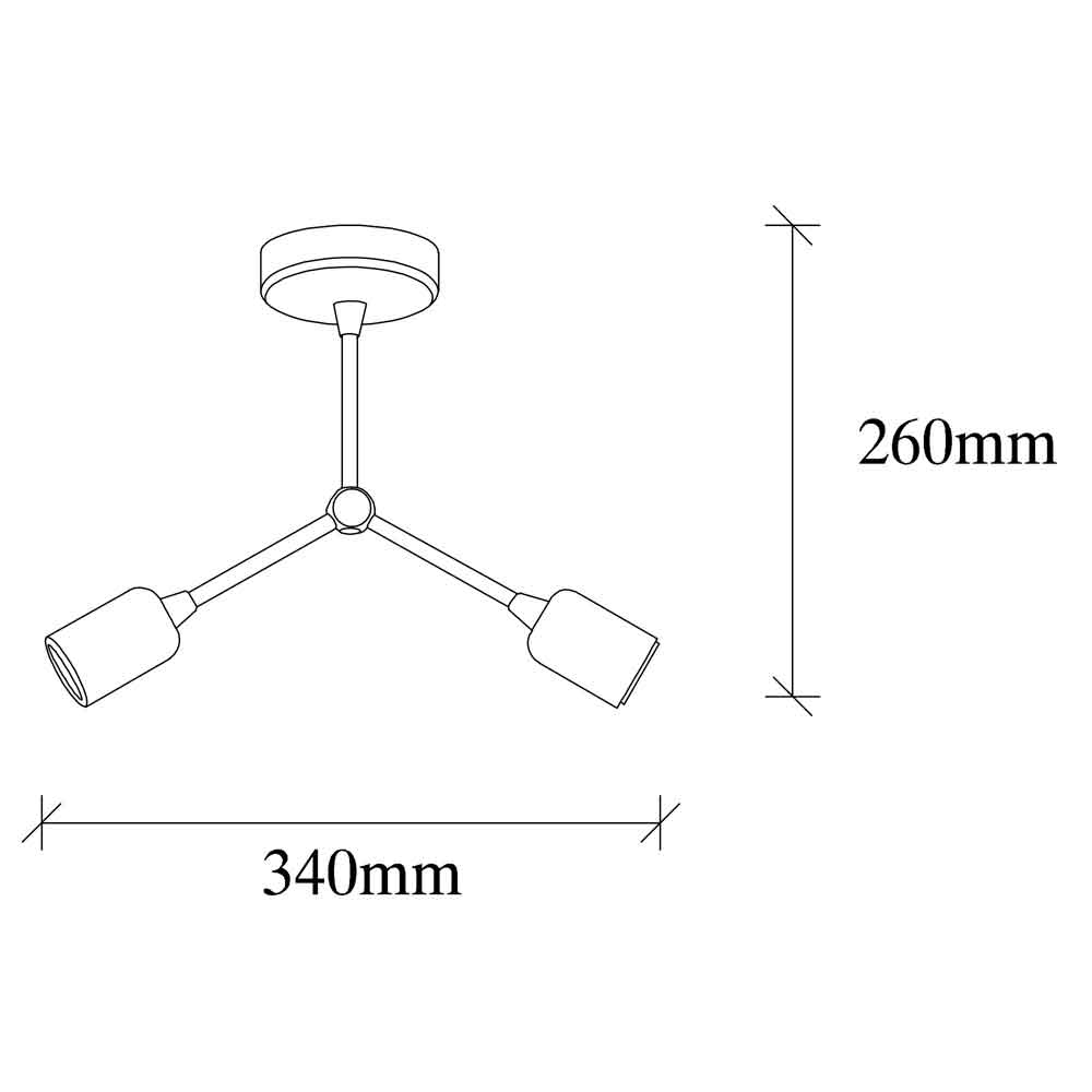 Sparrow 2 Light Metal Ceiling Light in Vintage