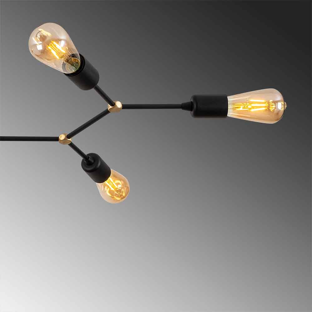 Sparrow 6 Light Metal Ceiling Cluster Light in Black
