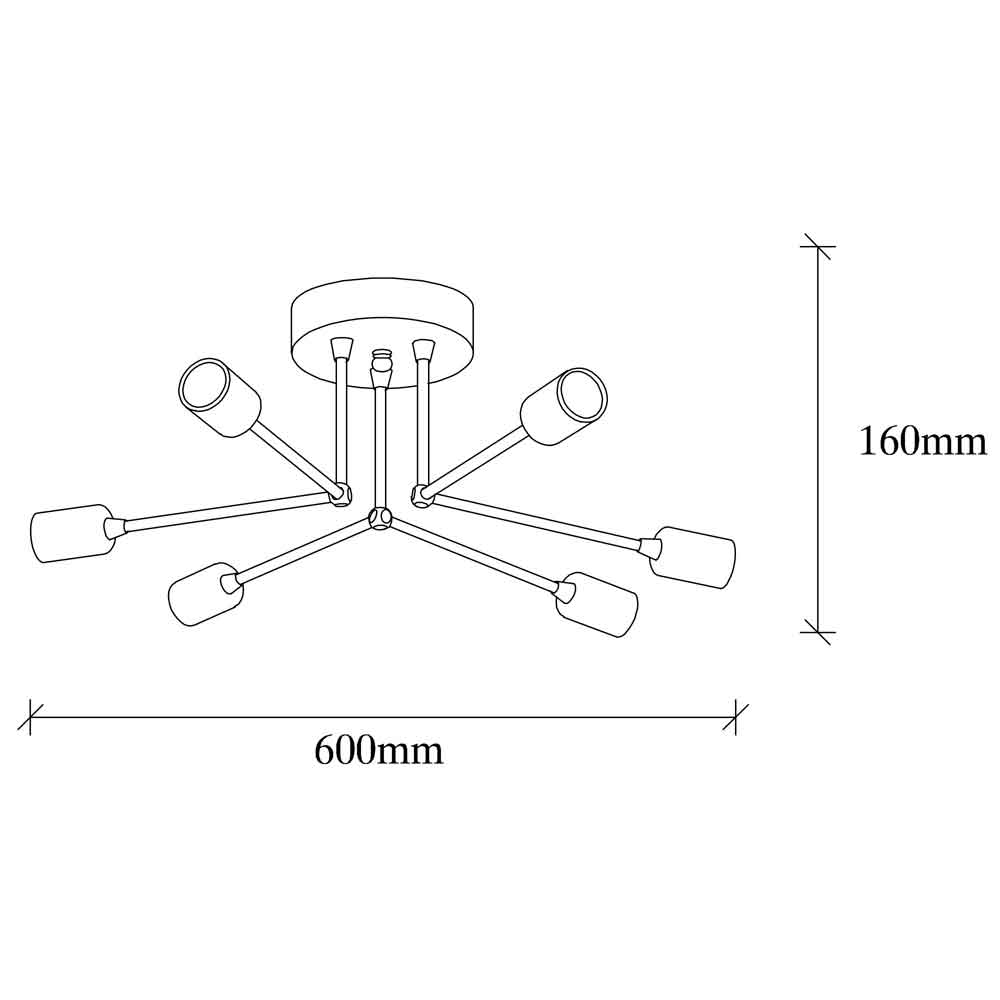 Sparrow 6 Light Metal Ceiling Light in Black
