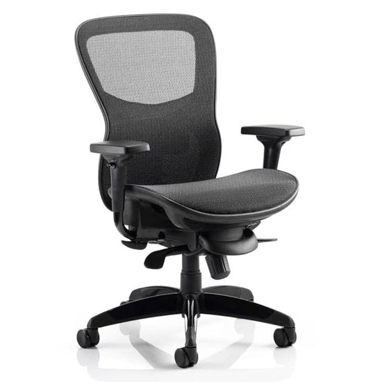 Read more about Stealth shadow ergo fabric office chair in black mesh seat