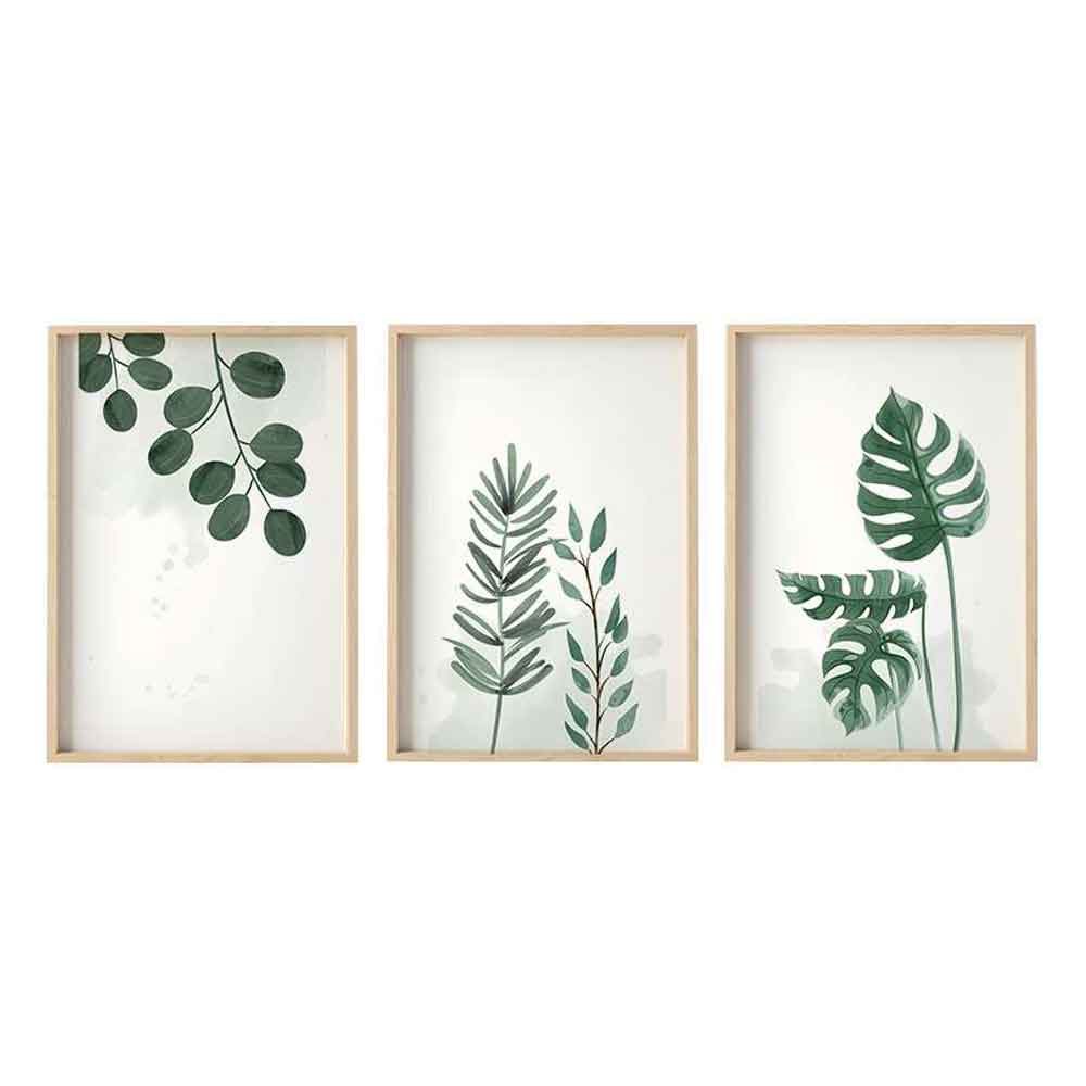 Stillform Wooden 20x30cm Monstera and Eucalyptus Art Frame Set of 3 in Multicolour