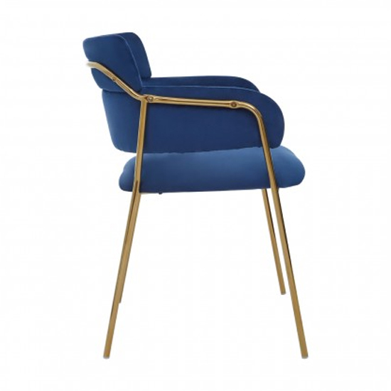Tamzo Blue Velvet Dining Chairs And Gold Legs In Pair Furniture in