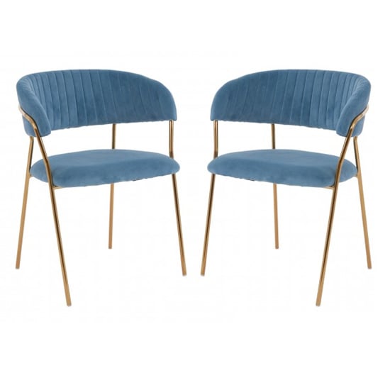 Tamzo Blue Velvet Dining Chairs With Gold Legs In Pair_1