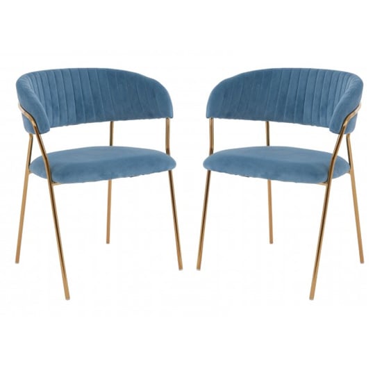 Read more about Tamzo blue velvet dining chairs with gold legs in pair